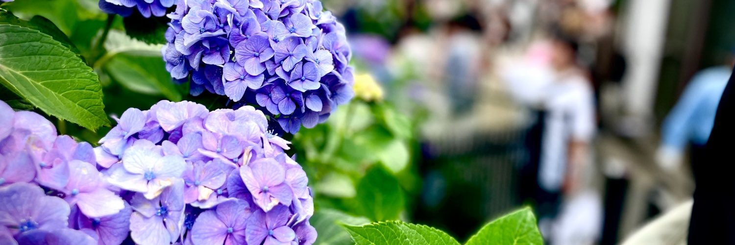 822_aim's profile banner image