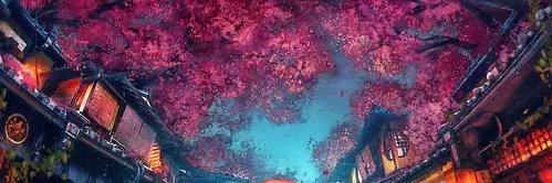 W74134851's profile banner image