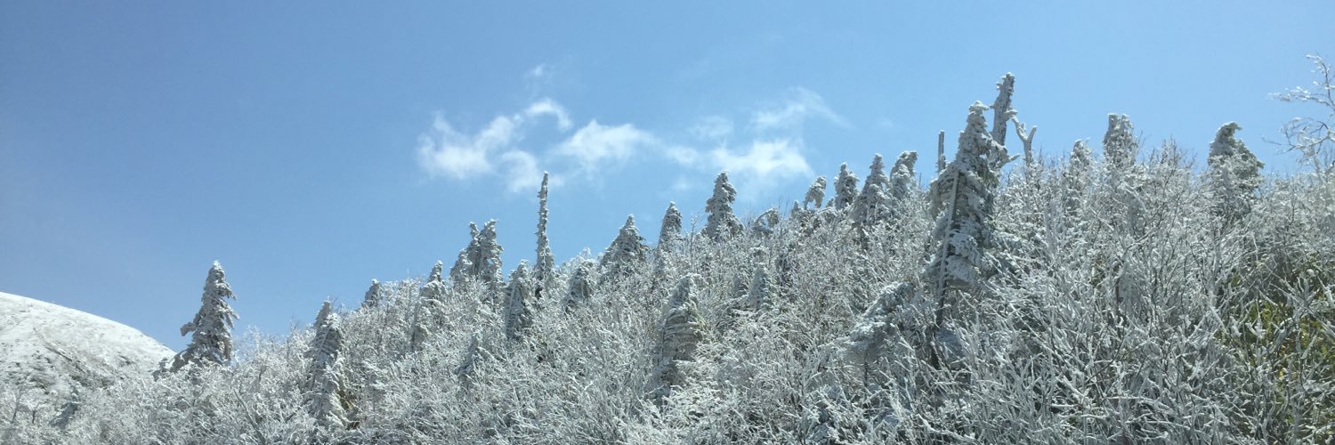 askchristmas's profile banner image