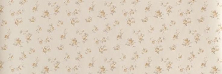 𝘁𝗼𝗱𝗮𝘆 :) banner