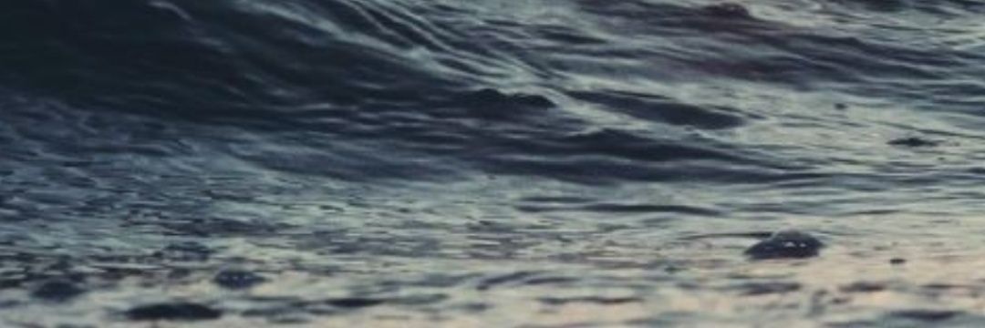 deviwood1's profile banner image