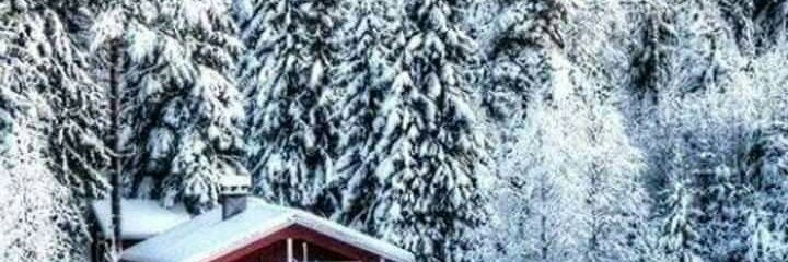 lafaurie9's profile banner image