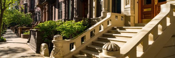 cãozinho das orelhas caídas na fila de adoção 🧙🏻 banner
