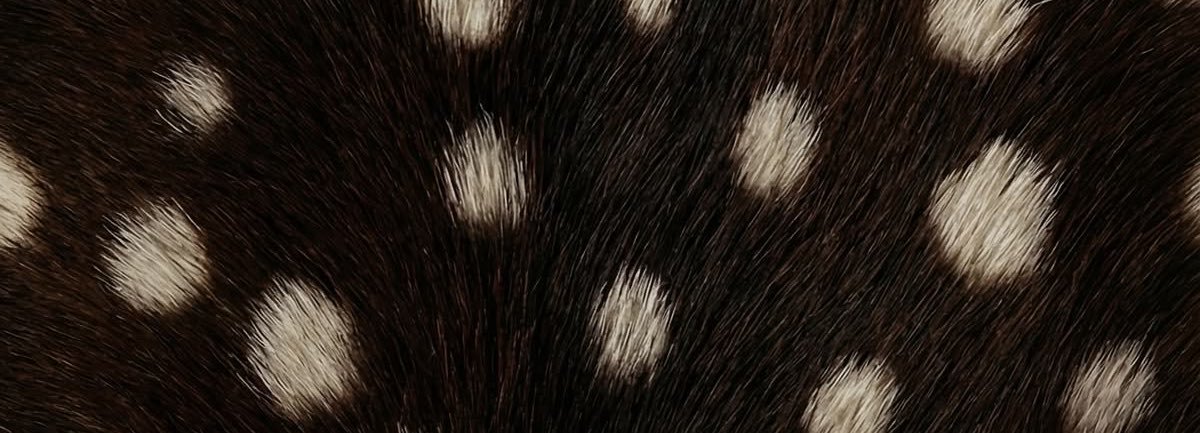 jen111fer's profile banner image