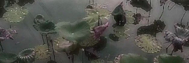 Blue!⁰⁷² banner