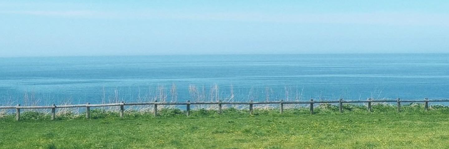 4_4 banner