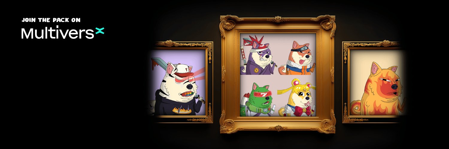 xDoges banner