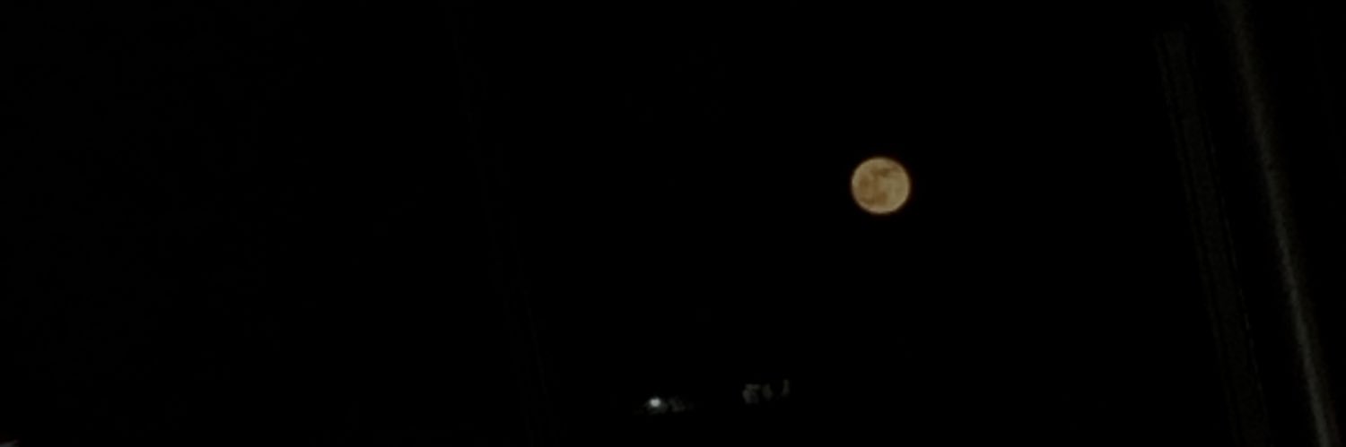 ileTz_'s profile banner image