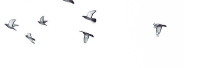 ibesh2x's profile banner image