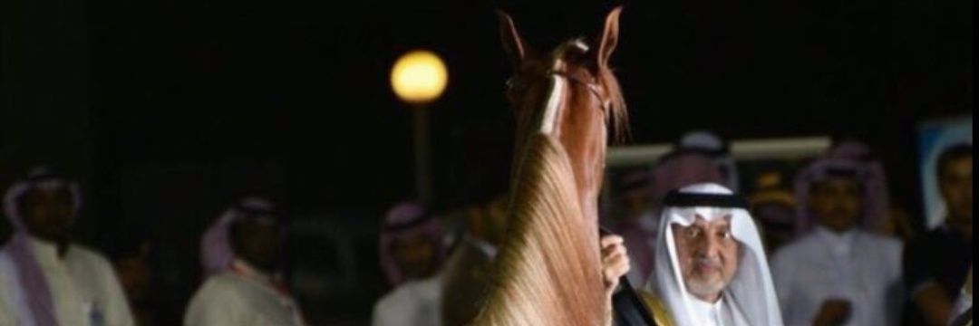 شعراء البقــوم 🇸🇦 banner