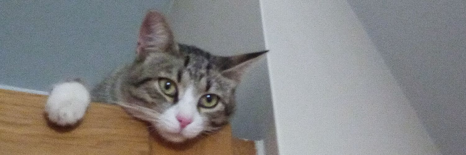 Fabio Filippetto banner