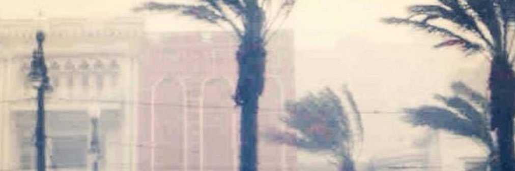 ༻ shaebie ♱༺ banner