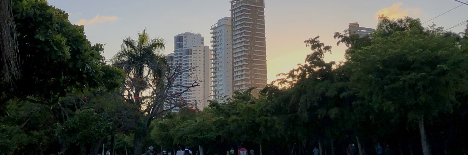 lisstfdez's profile banner image