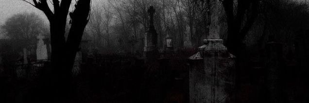 Fx Midz banner