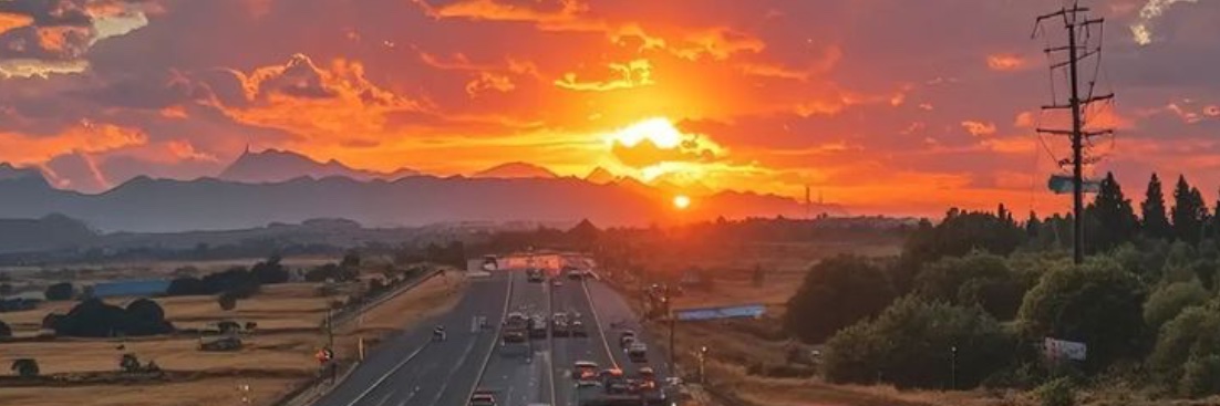 fran_bonanni's profile banner image