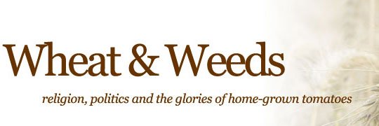 wheatweeds banner