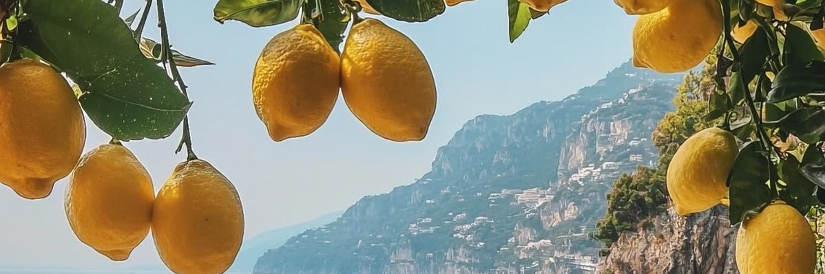 ninou 🍋 banner