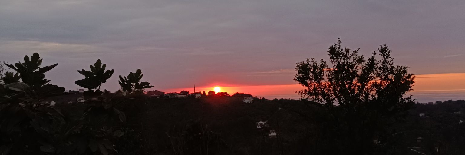 edanurff's profile banner image