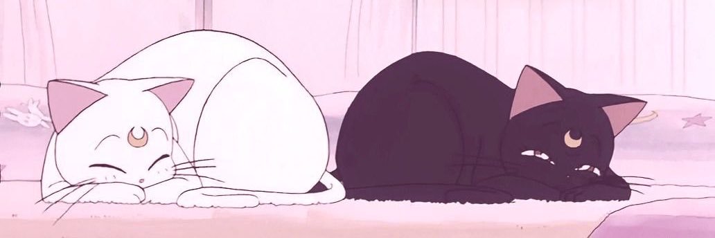 adasteepor's profile banner image