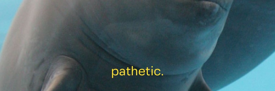 Giga Sigma banner