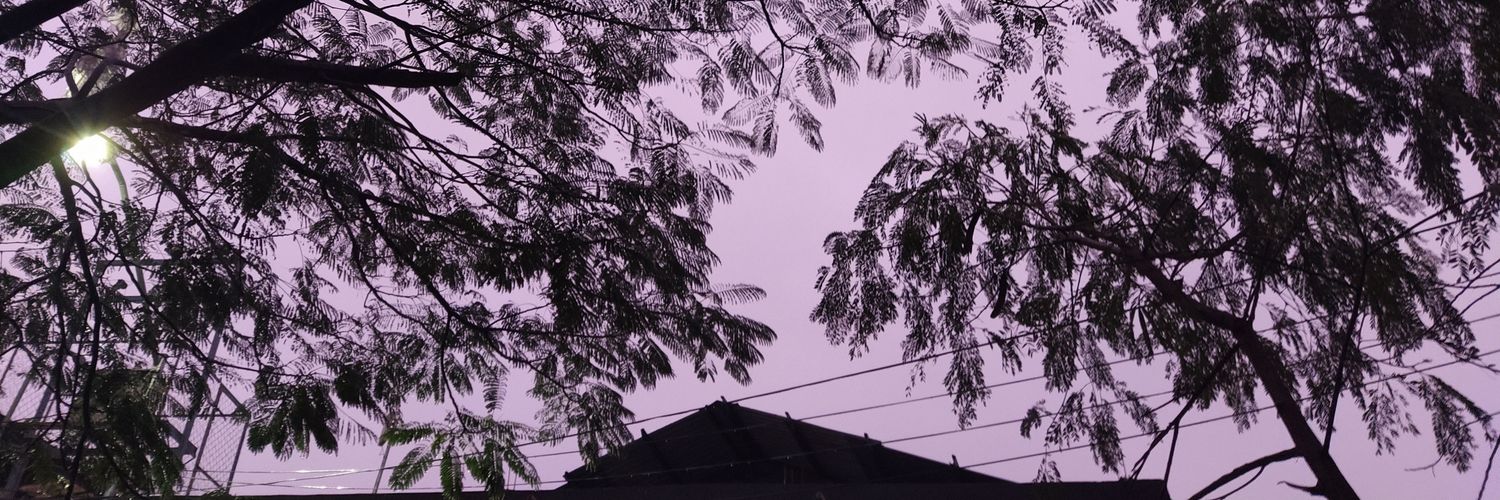 RogerMontesdeoc's profile banner image