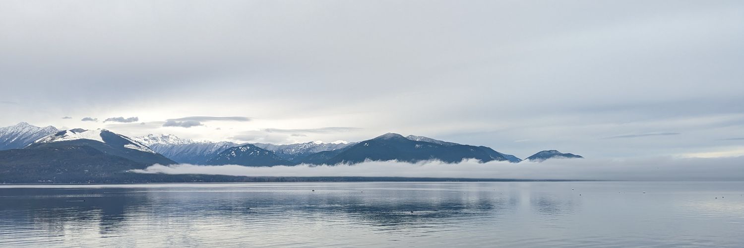 Cody Vaughan Sharp banner