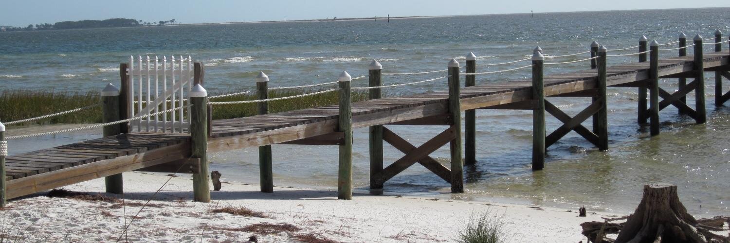 Dr. Cheryl Rainey banner