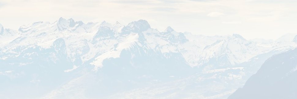 Mosquito Pay banner