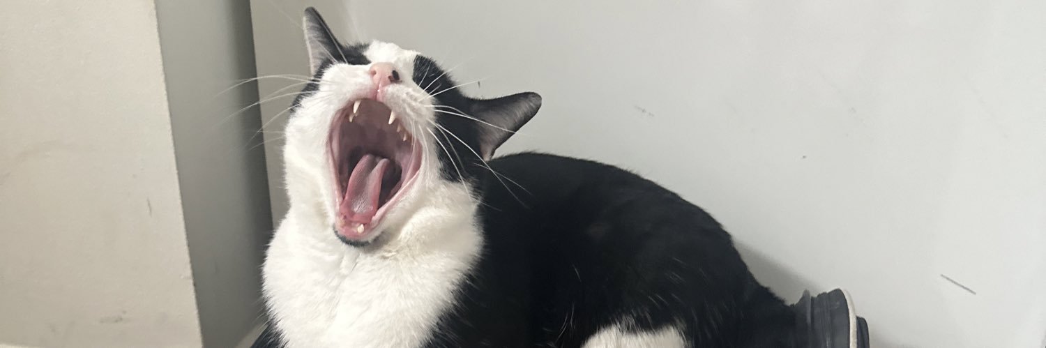 allieattack's profile banner image