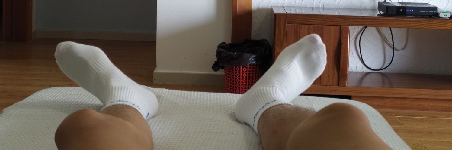 麦当劳小奶狗 banner