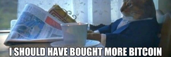 marginal_monkey's profile banner image