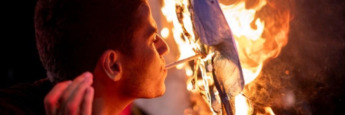 👨🏻‍🤝‍👨🏾🧑🏼‍🤝‍🧑🏻🛸🌷🌻✨️🐿🇵🇸 banner