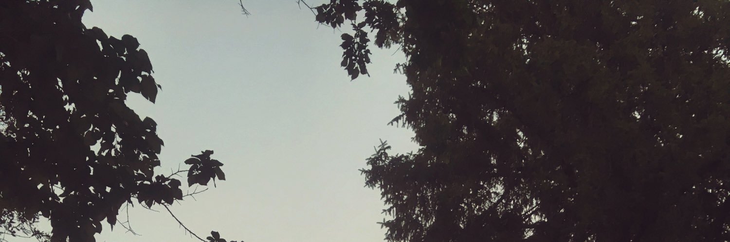 ghostshulahoop's profile banner image