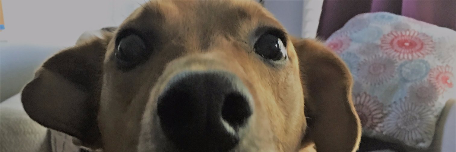 Ruhroh30's profile banner image