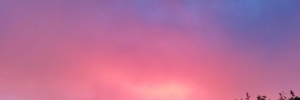 ravenwings76's profile banner image