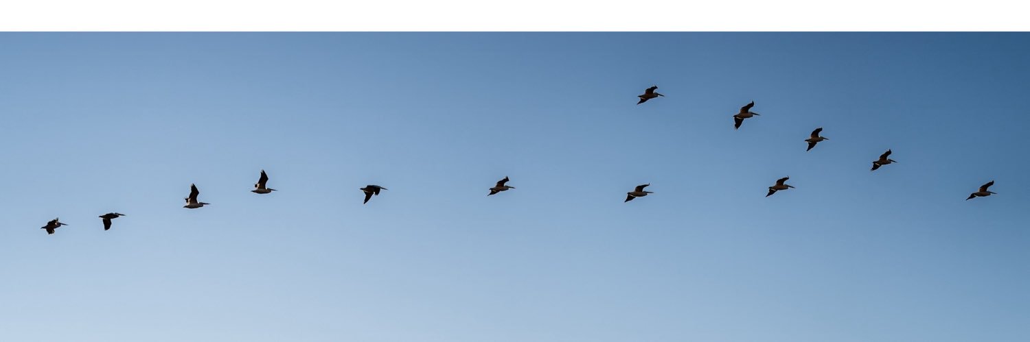 Stacey Pearson MCJ LPD banner