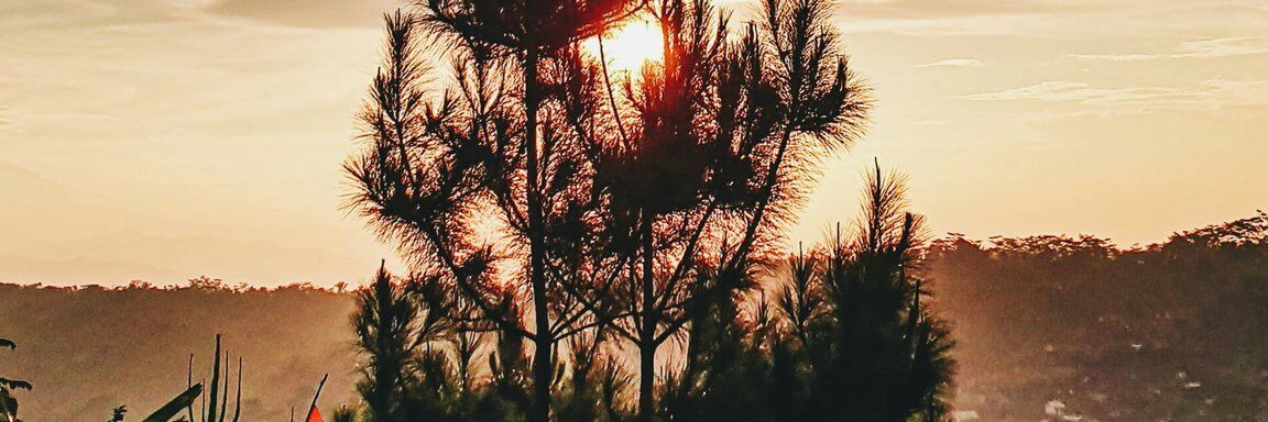 juwaak's profile banner image
