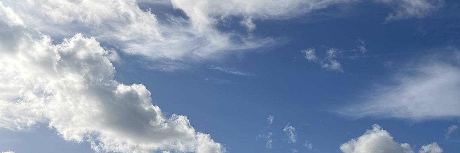 _sal's profile banner image