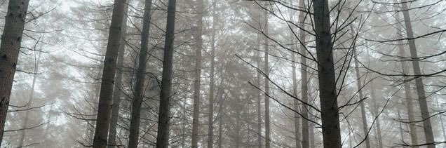 𝑚𝑎𝑖𝑡𝑎 banner