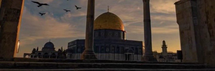 m_alfajjam's profile banner image