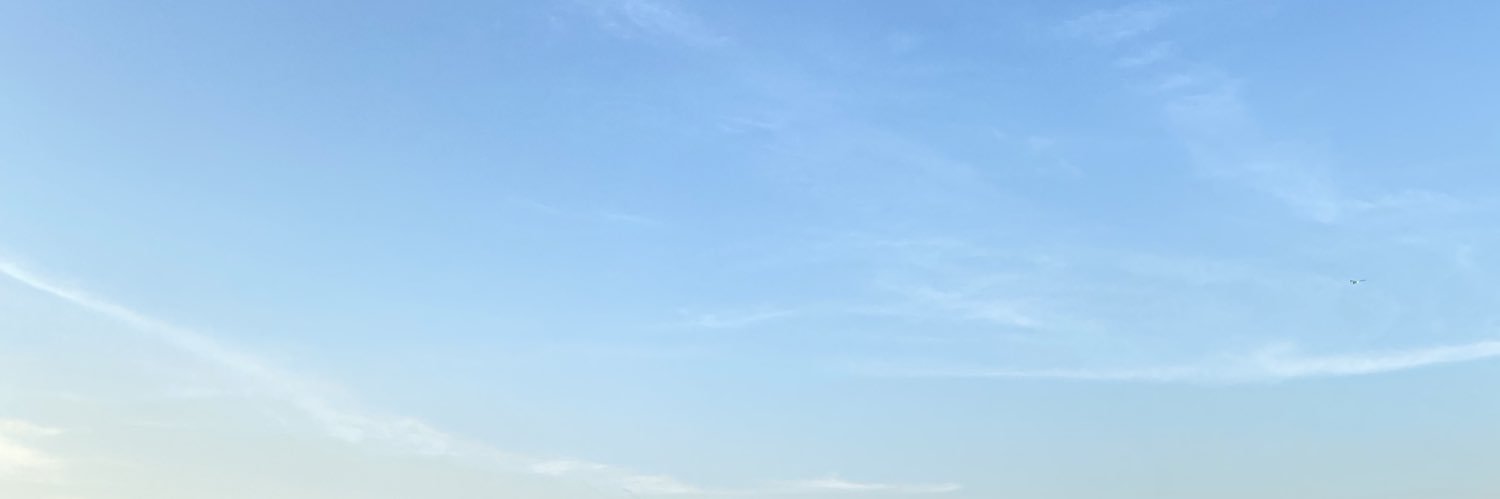 ochinisan's profile banner image