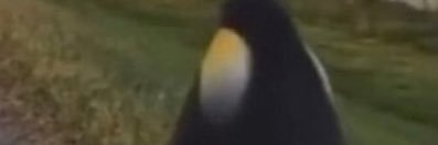 trihardyay's profile banner image