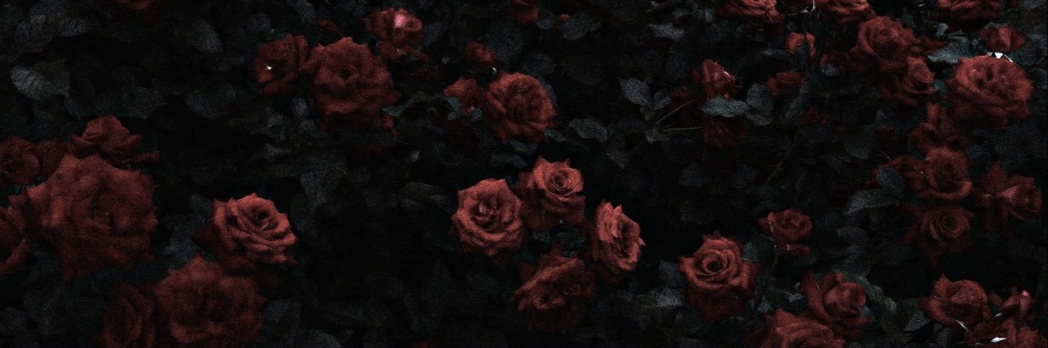 Not? ̆̈ banner