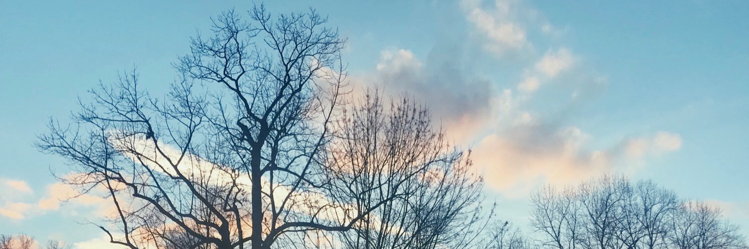 lillysteph__'s profile banner image