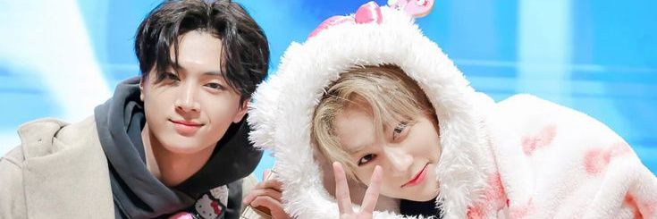 taa🐈 banner