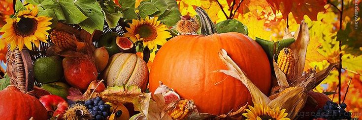 knitnurs's profile banner image