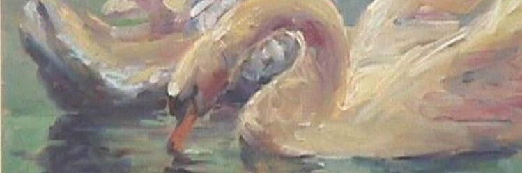 solannasos's profile banner image
