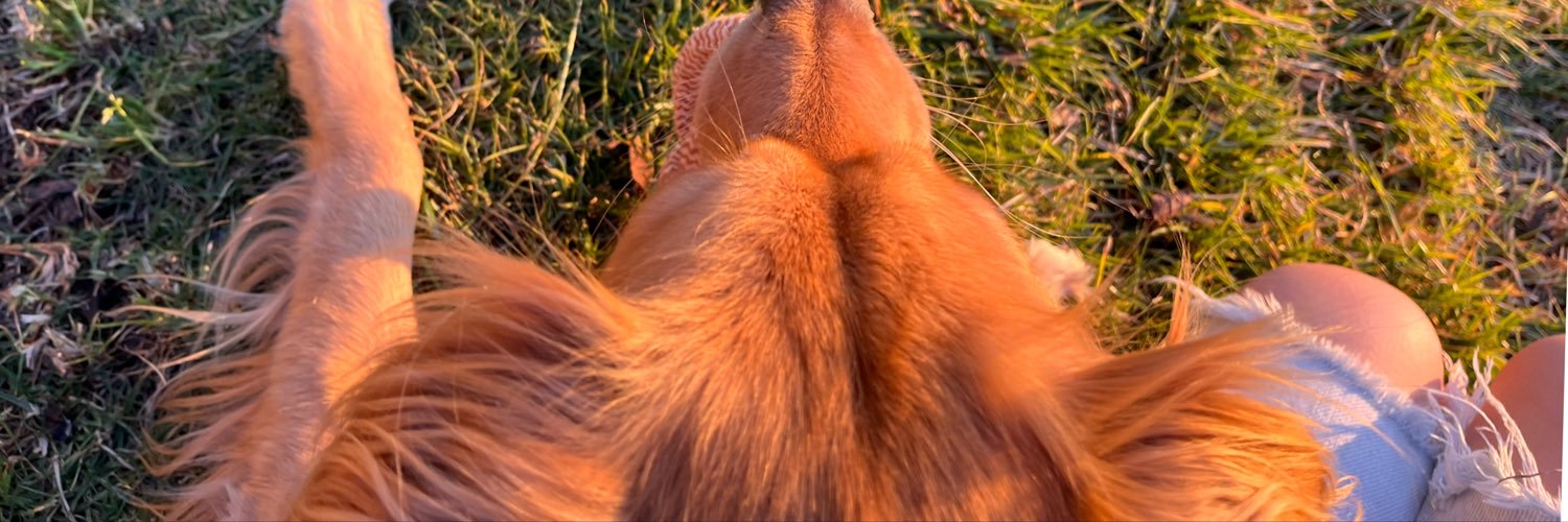 majhott's profile banner image