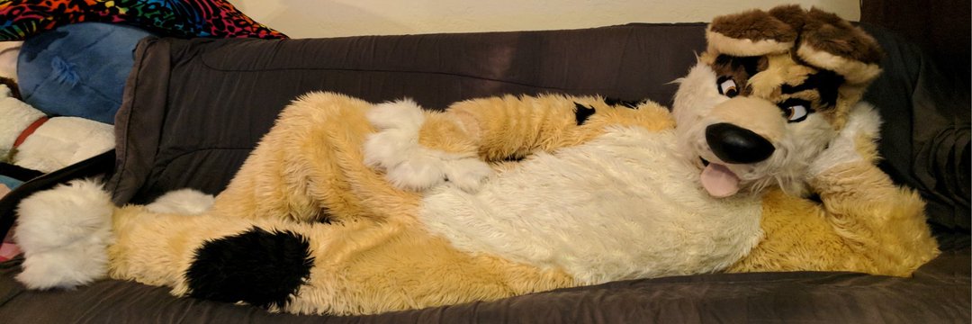 verybaddawg's profile banner image