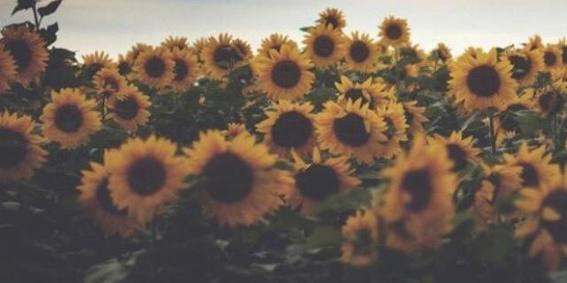 ybba_kriksubnav's profile banner image